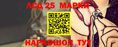 шишки Абакан