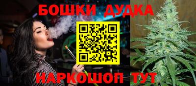 шишки Абакан