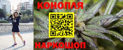 шишки Абакан