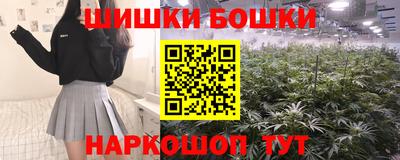 шишки Абакан