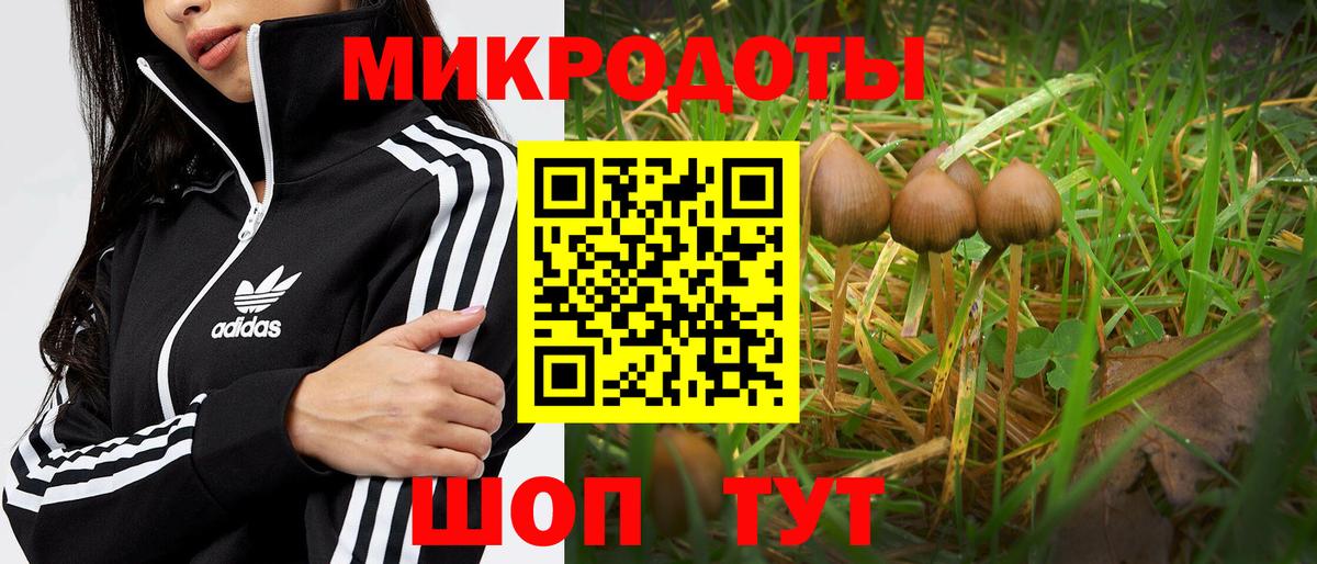 Псилоцибиновые грибы прущие грибы Азнакаево