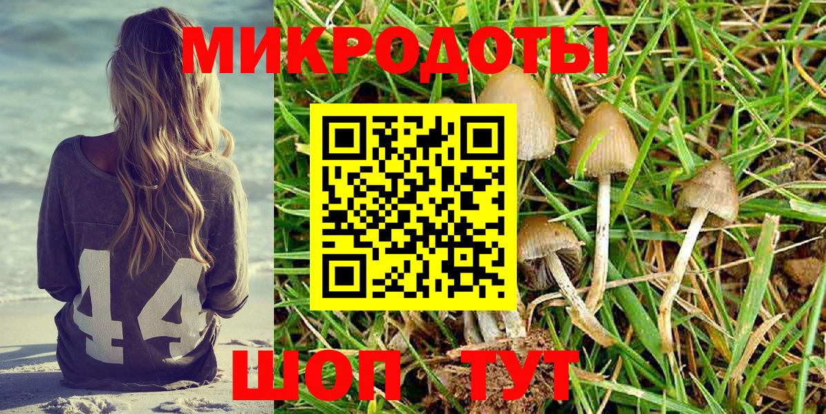 Азнакаево  Псилоцибиновые грибы ЛСД  Галлюциногенные грибы Cubensis  Вход с VPN 
